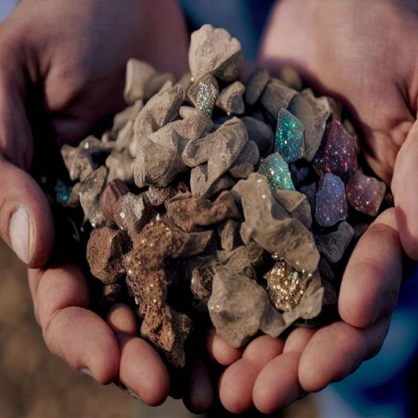 Environmental Impact 